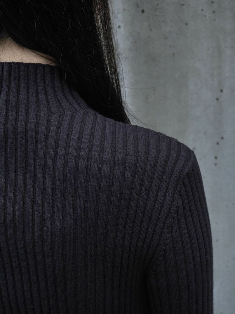 RIBBED HIGH NECK ZIP UP[BLACK] | 1LDK (ワンエルディーケー) 公式サイト